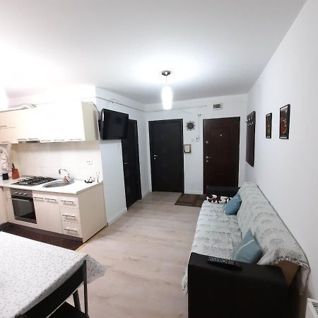 Apartament Kepa Din Piatra Neamţ エクステリア 写真