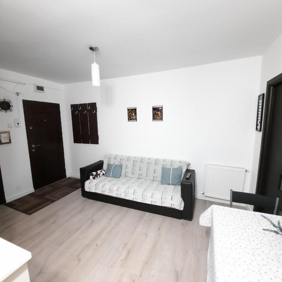 Apartament Kepa Din Piatra Neamţ エクステリア 写真